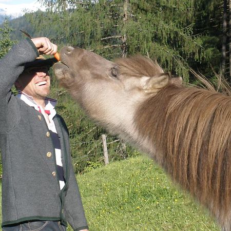 Appartamento Holzlehenhof Sankt Johann im Pongau Esterno foto