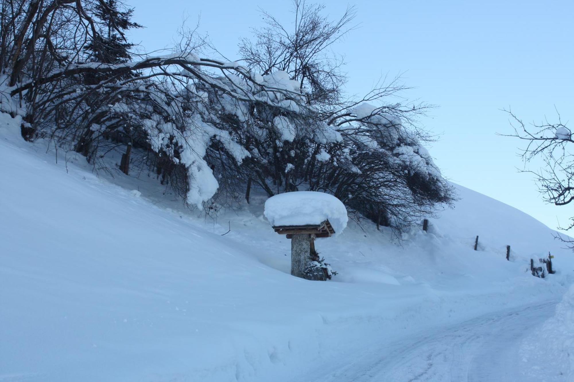 Appartamento Holzlehenhof Sankt Johann im Pongau Esterno foto